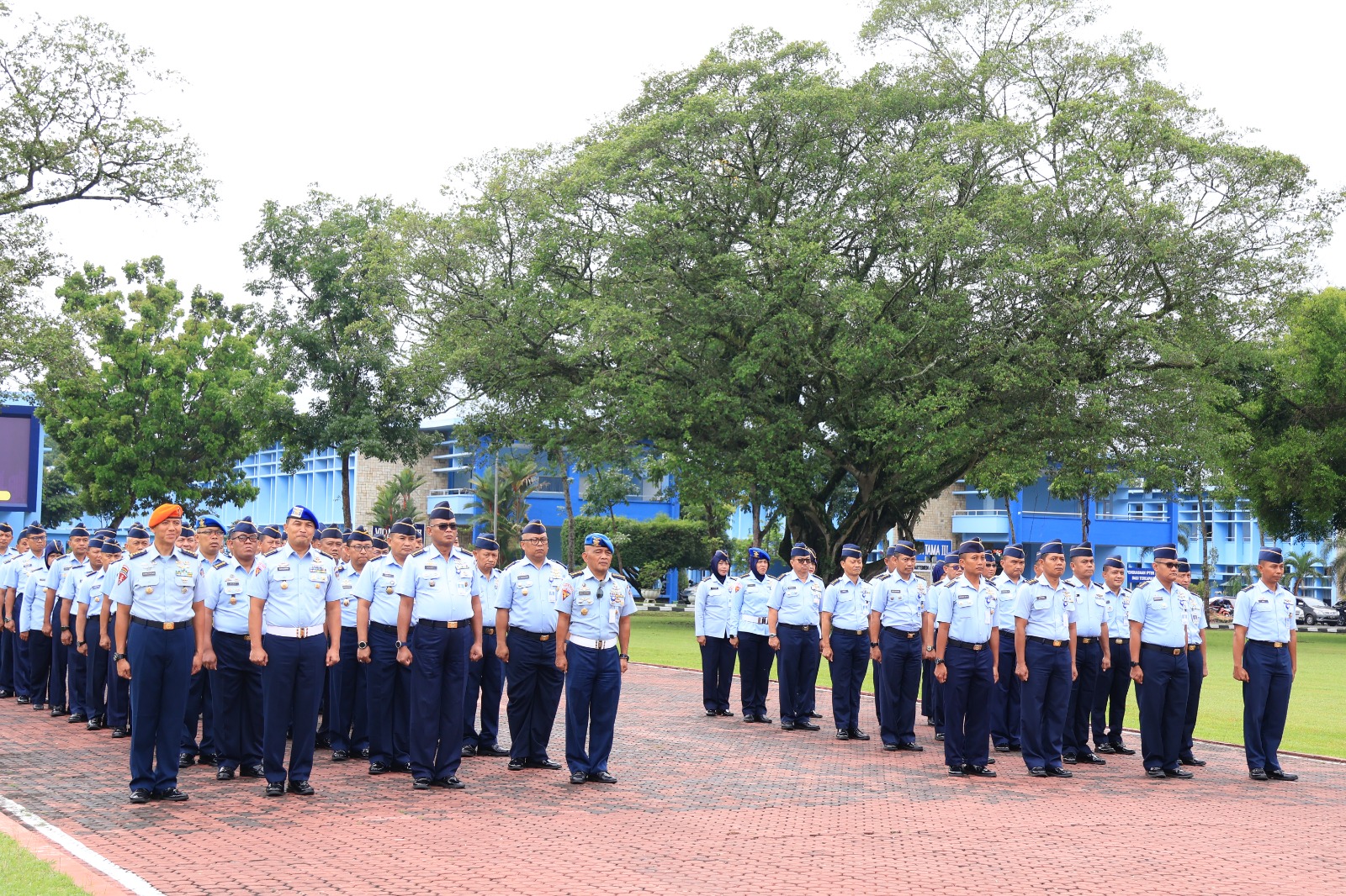 WhatsApp Image 2025-11-24 at 13.01.10